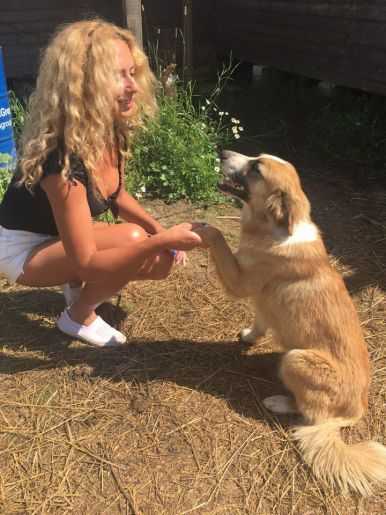 Голая Евгения Короткевич фото 3