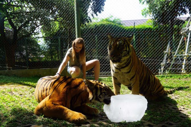 Голая Ксюша Хоффман фото 7